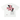 BY APPT ONLY - FORGOTTEN STAR - TEE