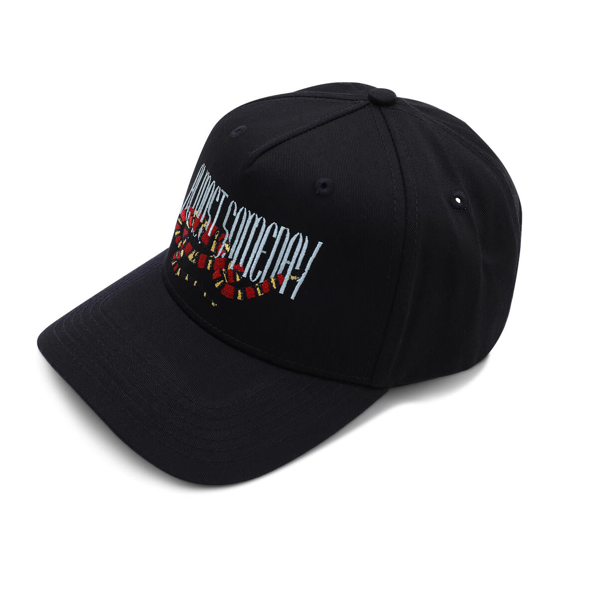 Remorse Snapback